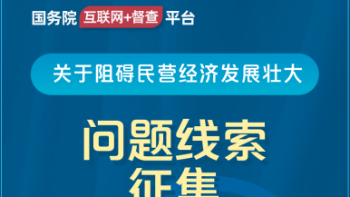 大鸡吧,啊......国务院“互联网+督查”平台公开征集阻碍民营经济发展壮大问题线索